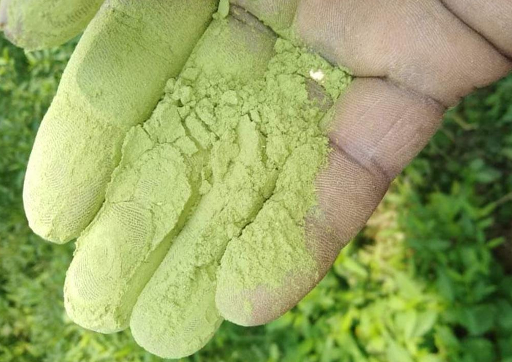 Indigo Leaves Powder Manufacturers in India